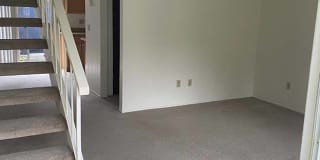 Westwood Gallery 47