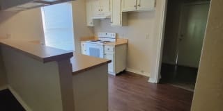 6978 County Road 381 #1A Gallery 1