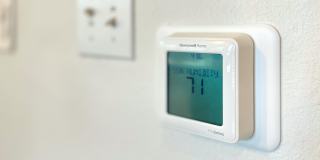 Crosstown Walk Gallery 25