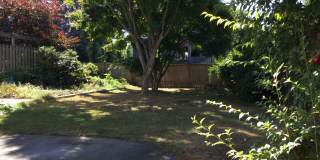 Charming Home in Seattle-Maple Leaf Area! Gallery 27