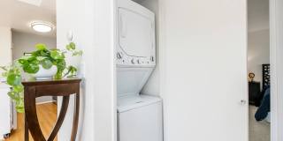 Park Sierra Gallery 29