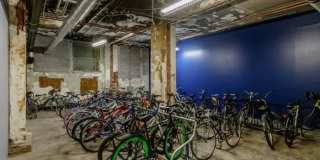 The Stahlman Gallery 29