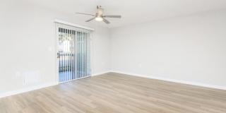 The Julep Gallery 61