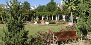 Avalon at Arlington Square Gallery 35