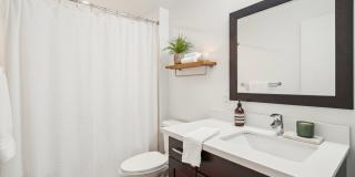 The Bluestone Apartments Gallery 5