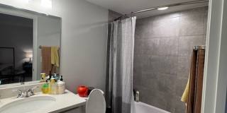 4959 Lexi Ln - 1 Gallery 57