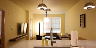 Settlement Place Gallery 257