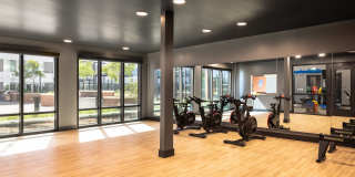 Fellow at Fitz Gallery 6