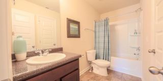 Home For Rent - 5036 Vine Ln Grovetown, GA 30813 Gallery 4