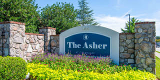 The Asher at Sugarloaf Gallery 30