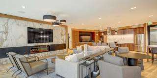 Perennial Corktown Perennial Corktown Gallery 31