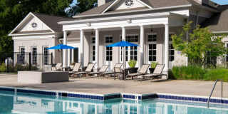 Alvista Bowie Gallery 15