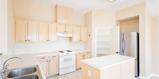 13702 Seahorse Gallery 17