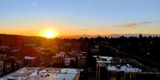 Ballard Public Gallery 21