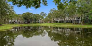 Lake Forest Gallery 22