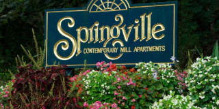 Springville Mill Gallery 1