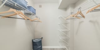 Bermuda Cay Gallery 12