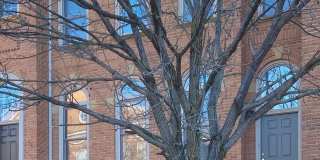 1802 DAWSON Street 1802 DAWSON Street Gallery 1