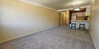 Great DU Condo Steps Away From Everything DU Gallery 11