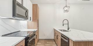 The Maddox Gallery 61