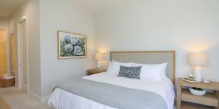 ****DOWNTOWN NAPLES*** SEASONAL***BEAUTIFUL VILLAS NAPOLI****NOW AVAILABLE*** Gallery 45