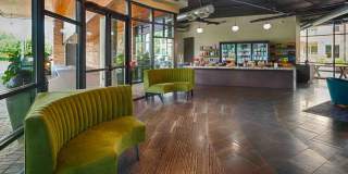Elan Med Center Gallery 25