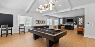 Reunion Township Apartments at 109 Gallery 22
