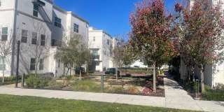 Upgraded & Spacious 4 Bedroom, 3.5 Bathroom Home Gallery 27