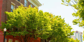 Virginia Arms Gallery 1