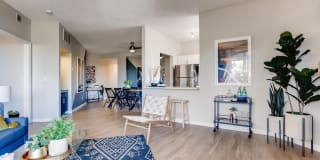 Alta Springs Gallery 12