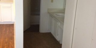 Forest Ridge Gallery 50