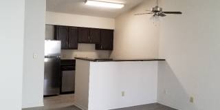 The Hedges Gallery 2