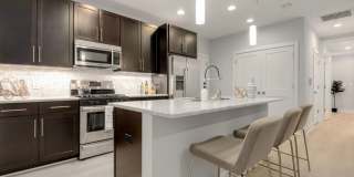 Modern 1BR/1BA with Private Terrace in the heart of Adams Morgan Gallery 4