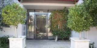 Rye 13506 Gallery 4