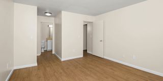 Lantern Cove Gallery 46