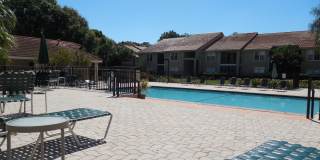 4053 Crockers Lake Blvd #2421 (Vintage Grand) Gallery 21