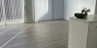 *FIRST MONTH FREE WHEN APPLICATION IS SUBMITTED THE SAME DAY OF TOUR* Bright 1 Bed / 1 Bath with Balcony & Pool – Central AC – Pet Friendly! Gallery 14