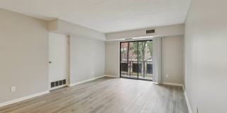 Hampshire House Gallery 33