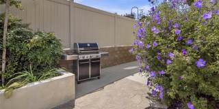 4944 Princess Gallery 34