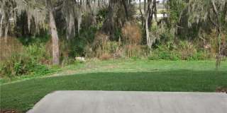15702 Fishhawk Falls Dr Gallery 2