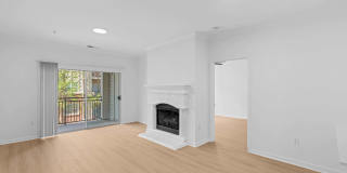 Fairchase Gallery 21