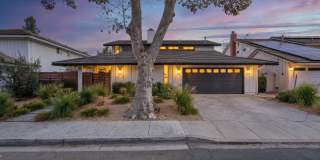 1632 Camberwell Place 1632 Camberwell Place Gallery 1