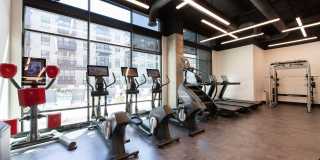 Westminster Row Gallery 25