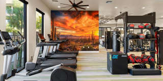Meritum Sonoran Desert Gallery 34