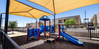 Sonoma Palms Gallery 28