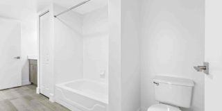 Coral Vista Gallery 50