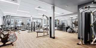 Solis at Petrosa Gallery 17