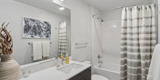 Anthology Apartments Gallery 8