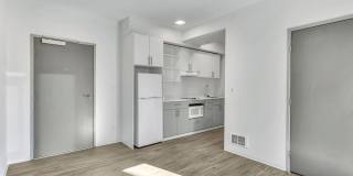 Koz at the Dome Gallery 12