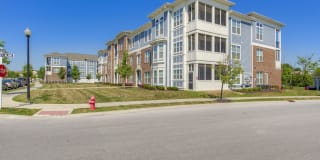 Linden Square Gallery 2